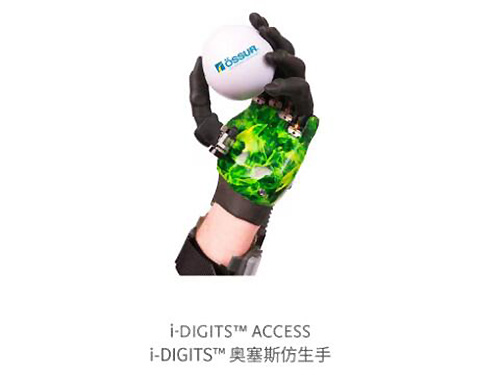 上肢