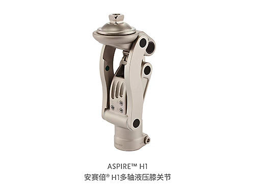 膝关节