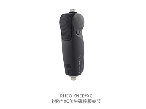膝关节